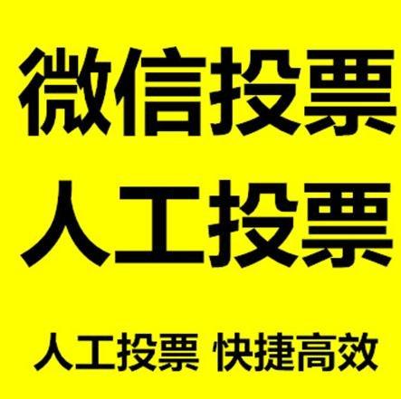 巴彦淖尔市投票活动拉票能被查出来吗？如何操作能不被发现？